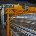 A type layer breeder chicken battery laying cage for sale for Nigeria